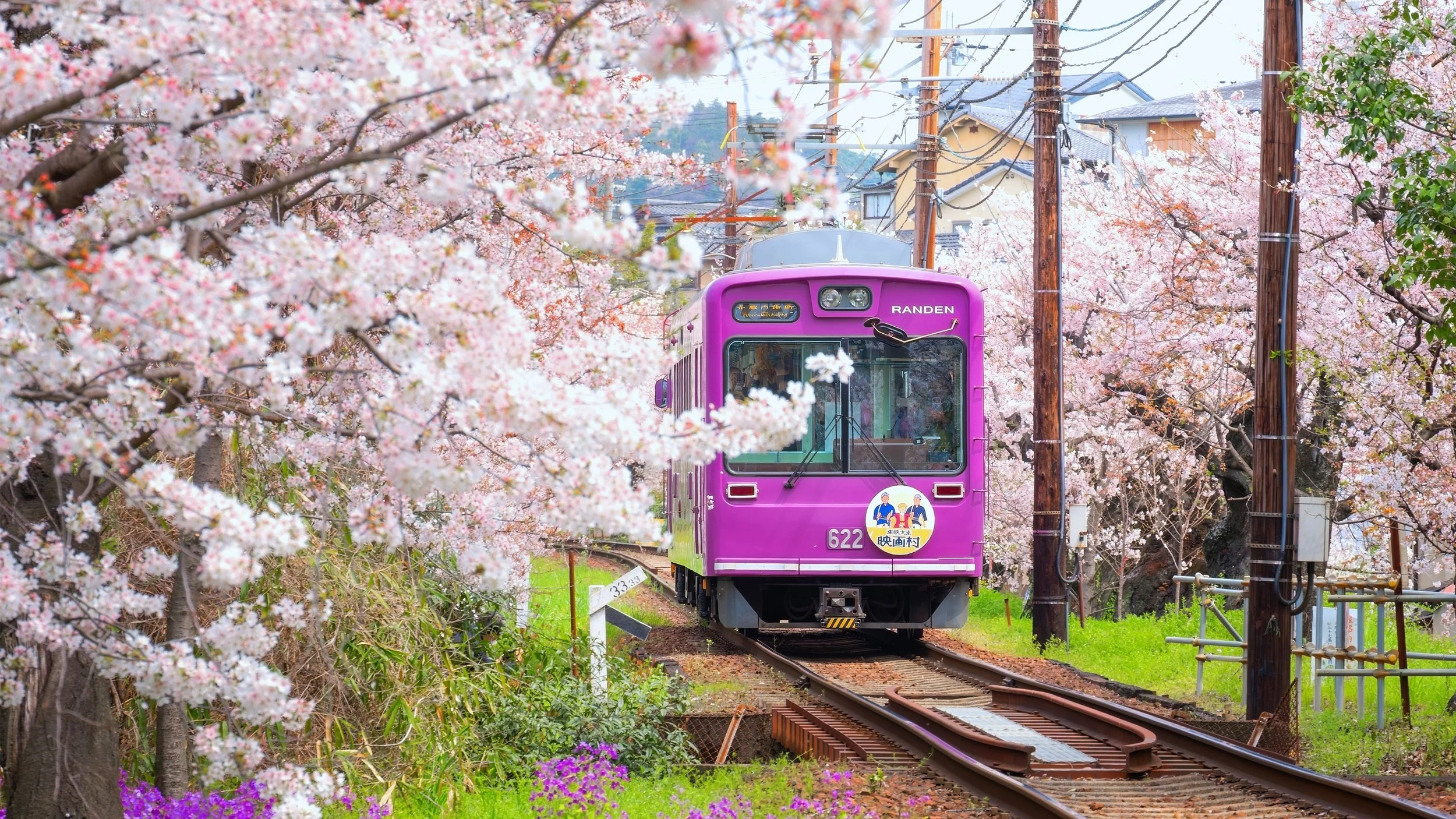 桜と風景の日本画・長命寺之境内 春の絶景 富士山と桜 8K60p Beautiful